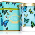 castelbel_Portus Cale Butterflies.png